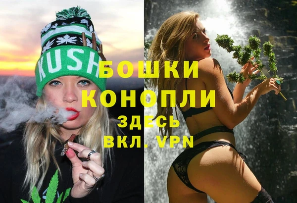 2c-b Новозыбков