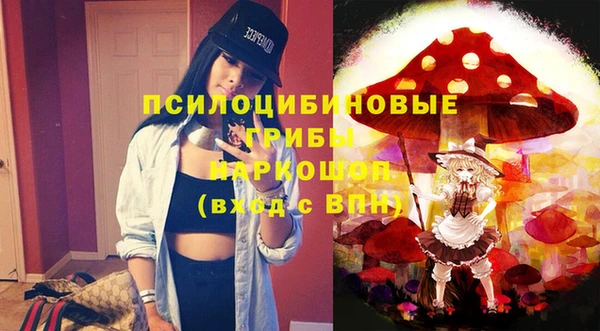 меф Новодвинск