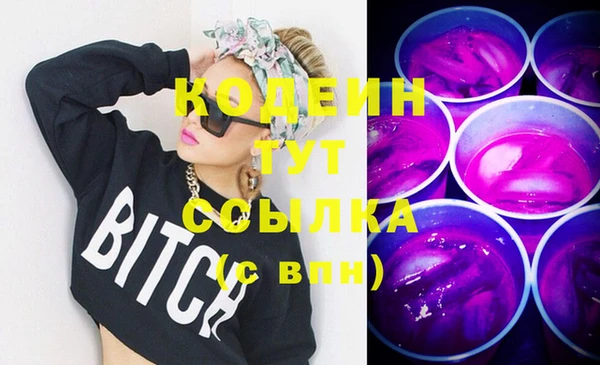 2c-b Новозыбков